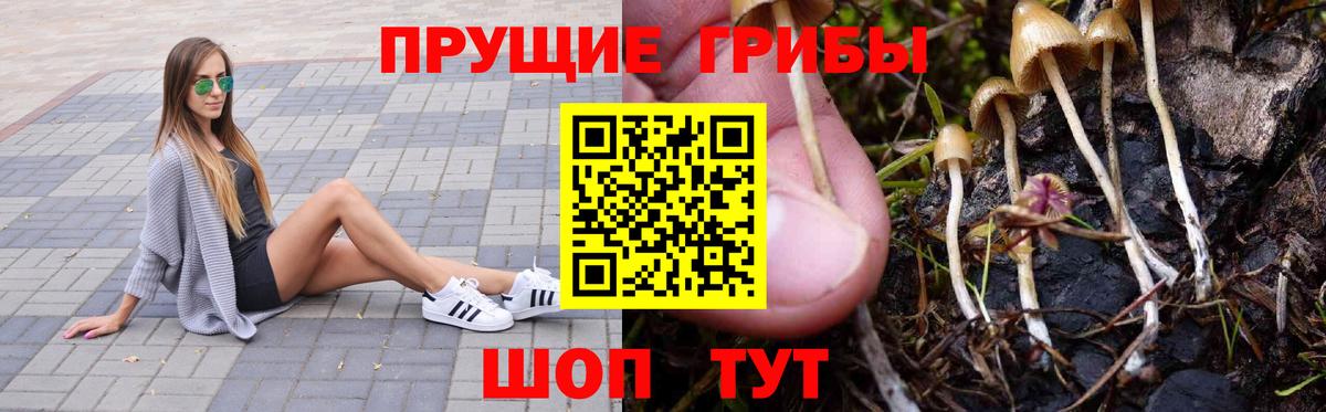 Галлюциногенные грибы Cubensis  Вход с VPN  Камышин 